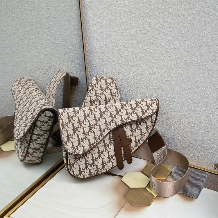 D homme2023 Pre-Fall saddle bag size : 20×28.6x5cm